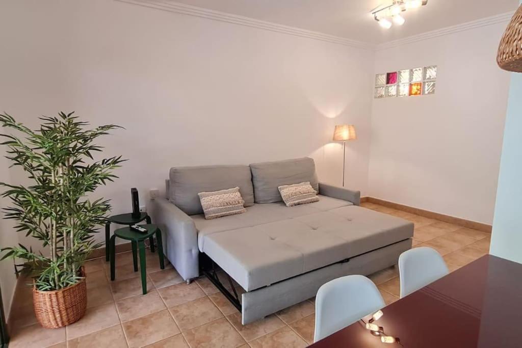 Ferienwohnung Jardin Del Teide Puerto de la Cruz  Exterior foto